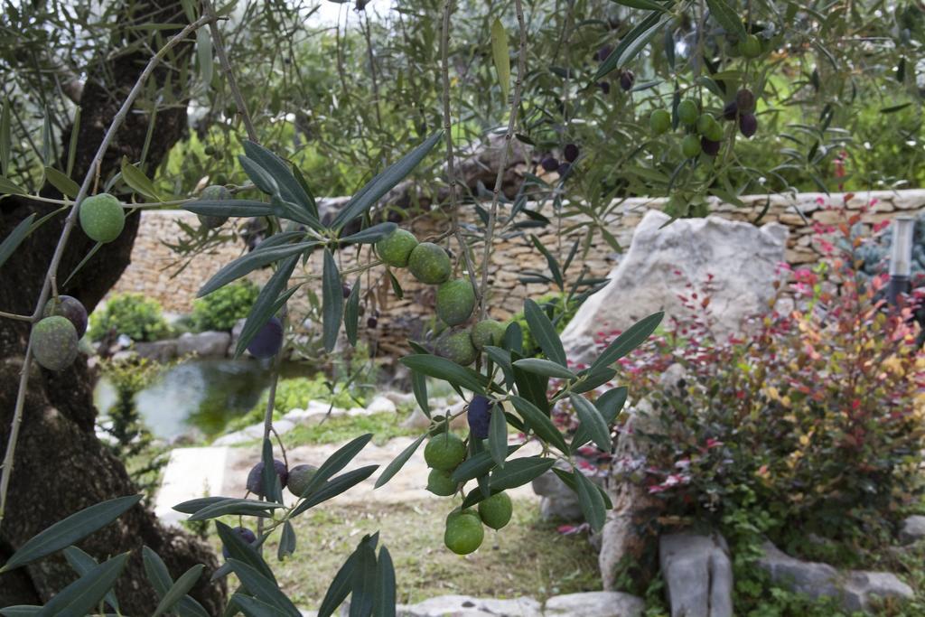 Albergo Ristorante Uliveto Veroli 外观 照片